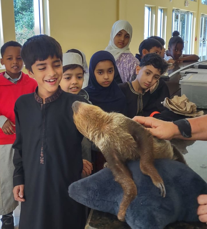 3rd Grade Meeting a Sloth111